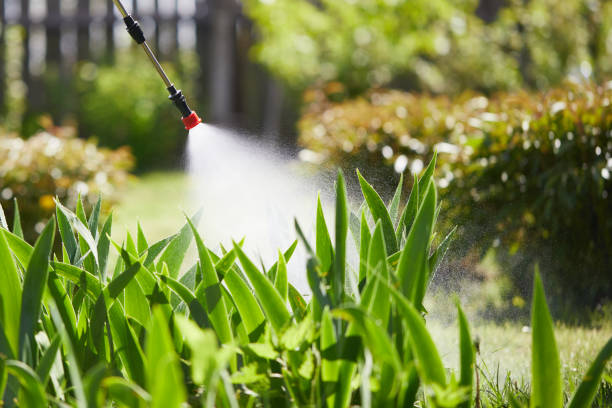 Tamper-Resistant Bait Stations for Rodents in Quitman