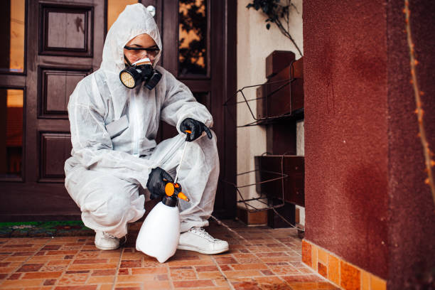 Attic and Crawl Space Rodent Treatment in Quitman